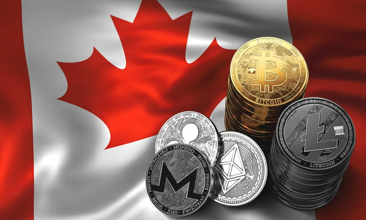 Лицензия MSB Canada